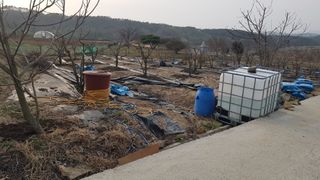 김용호님의 2025 풍년들게 하소서! · 참여글 작성글 사진