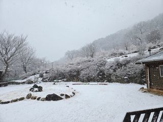강원사랑인님의 자유주제 · 자유게시판 작성글 사진