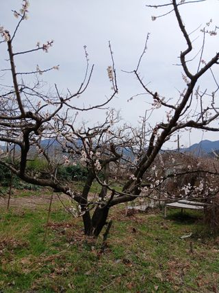 대지털님의 자유주제 · 자유게시판 작성글 사진