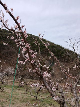 대지털님의 자유주제 · 자유게시판 작성글 사진