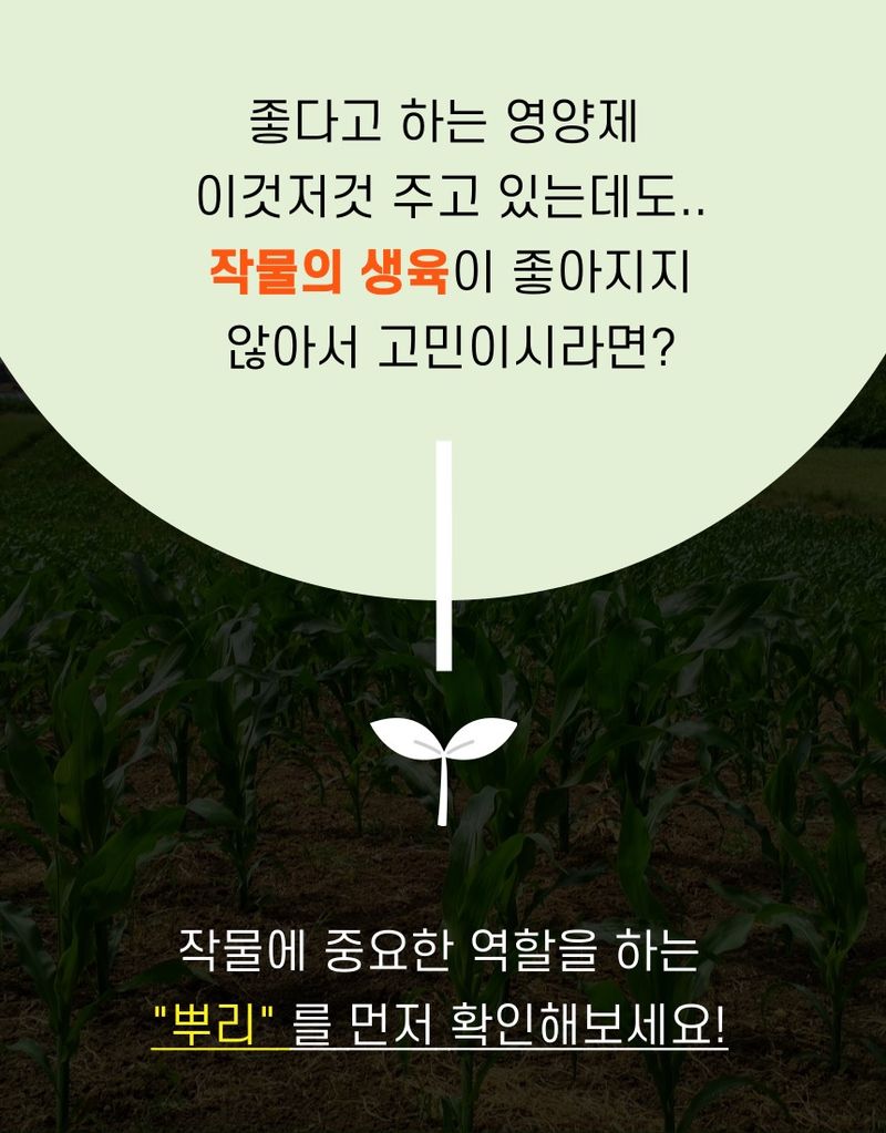 플랜큐님의 장터 판매 상품 [닥터케이 미생물 비료] 첨부 사진