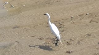 MSG0074님의 자유주제 · 자유게시판 작성글 사진