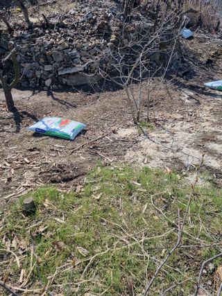 김용대님의 자유주제 · 자유게시판 작성글 사진