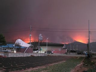 신승원님의 산불 피해 괜찮으신가요? · 참여글 작성글 사진