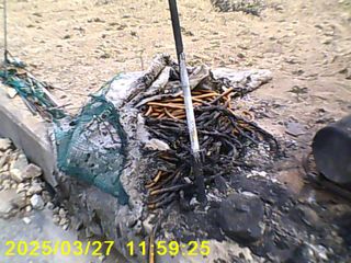 진일환님의 자유주제 · 자유게시판 작성글 사진