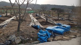 김용호님의 2025 풍년들게 하소서! · 참여글 작성글 사진