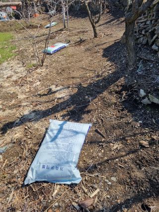 김용대님의 자유주제 · 자유게시판 작성글 사진