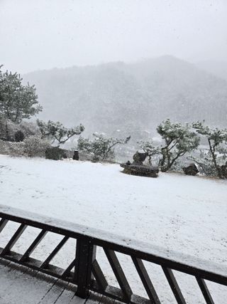 강원사랑인님의 자유주제 · 자유게시판 작성글 사진