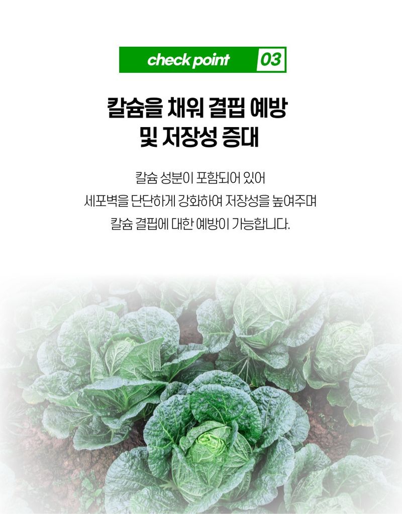 플랜큐님의 장터 판매 상품 [닥터케이 미생물 비료] 첨부 사진