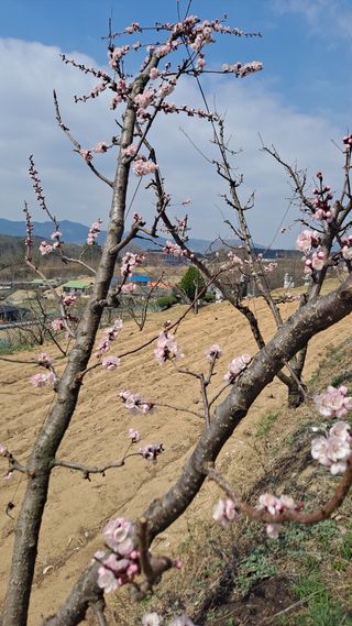 MSG0074님의 자유주제 · 자유게시판 작성글 사진