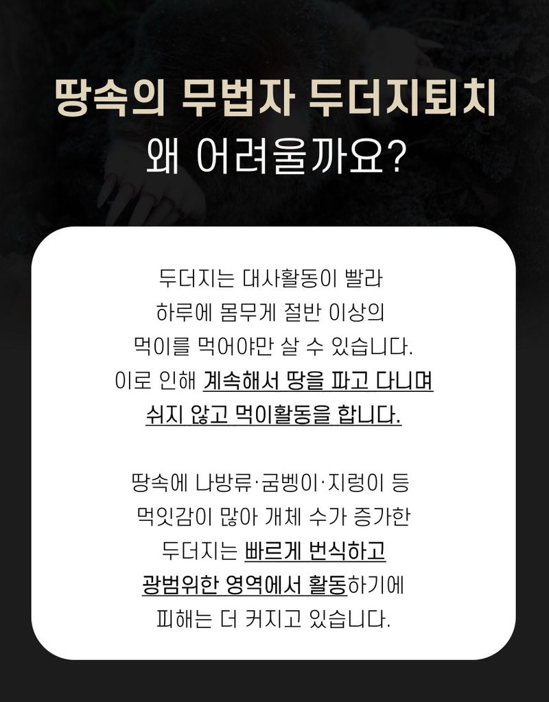플랜큐님의 장터 판매 상품 [두더지약 두더지올킬] 첨부 사진