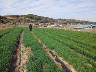 황석면님의 자유주제 · 사진전 작성글 사진