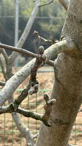 팜모닝 자유주제·자유게시판 게시글 이미지