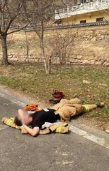 한성대 (61년생)님의 2025 풍년들게 하소서!·참여글 작성글 사진