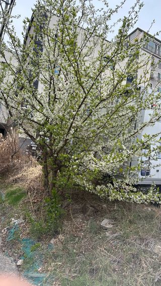 나의농장님의 자유주제 · 자유게시판 작성글 사진