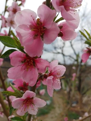 안길원님의 자유주제 · 자유게시판 작성글 사진