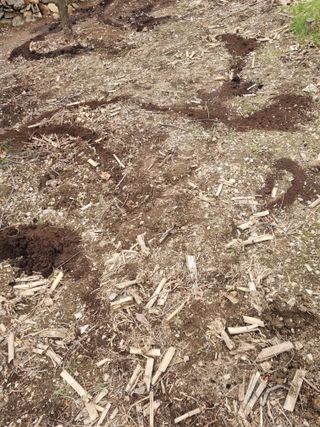 김용대님의 자유주제 · 자유게시판 작성글 사진