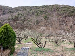 대지털님의 자유주제 · 자유게시판 작성글 사진