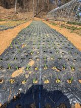 팜모닝 2025 풍년들게 하소서!·참여글 게시글 이미지