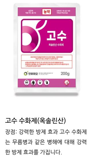 대산농사대장님의 마늘 · 비료•농약 작성글 사진