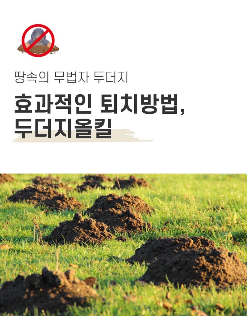 플랜큐님의 장터 판매 상품 [두더지약 두더지올킬] 첨부 사진