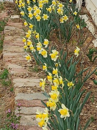 안길원님의 자유주제 · 자유게시판 작성글 사진