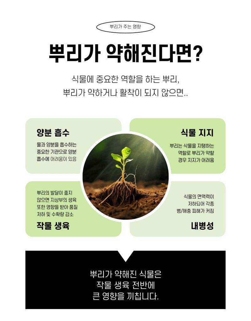 플랜큐님의 장터 판매 상품 [닥터케이 미생물 비료] 첨부 사진