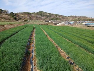 황석면님의 자유주제 · 사진전 작성글 사진