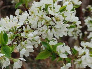 안길원님의 자유주제 · 자유게시판 작성글 사진