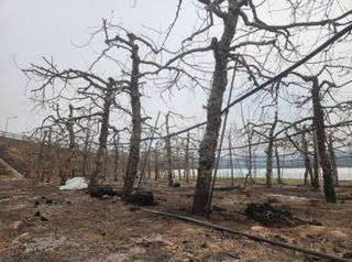 이순화님의 자유주제 · 자유게시판 작성글 사진