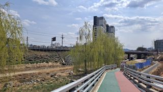 MSG0074님의 자유주제 · 자유게시판 작성글 사진