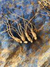 팜모닝 자유주제·자유게시판 게시글 이미지