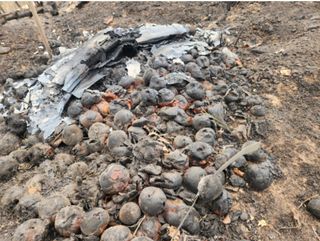 이순화님의 자유주제 · 자유게시판 작성글 사진