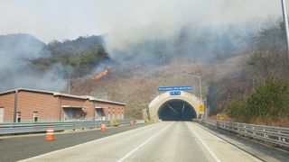 토마토15413님의 산불 피해 괜찮으신가요? · 참여글 작성글 사진