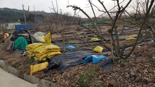 김용호님의 2025 풍년들게 하소서! · 참여글 작성글 사진