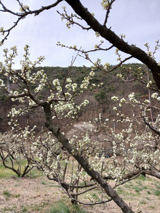 대지털님의 자유주제 · 자유게시판 작성글 사진