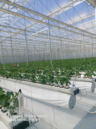 오무섭님의 자유주제 · 자유게시판 작성글 사진