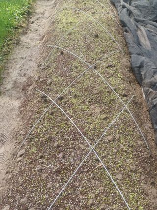 무료지식나눔 팜닥터님의 자유주제 · 자유게시판 작성글 사진