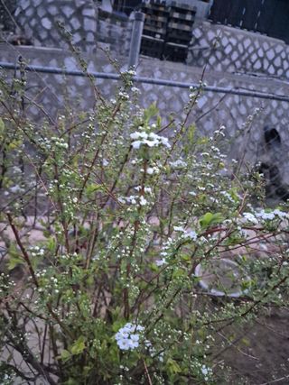 봉림동 태진농장님의 자유주제 · 자유게시판 작성글 사진