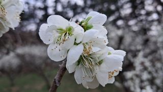 이정운님의 자유주제 · 자유게시판 작성글 사진