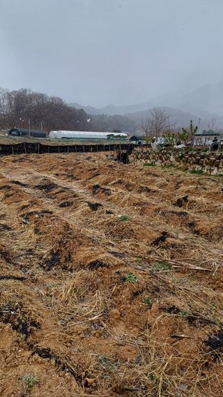박순덕님의 자유주제 · 자유게시판 작성글 사진