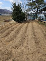 팜모닝 자유주제·자유게시판 게시글 이미지