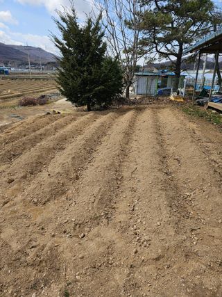 박인화님의 자유주제 · 자유게시판 작성글 사진