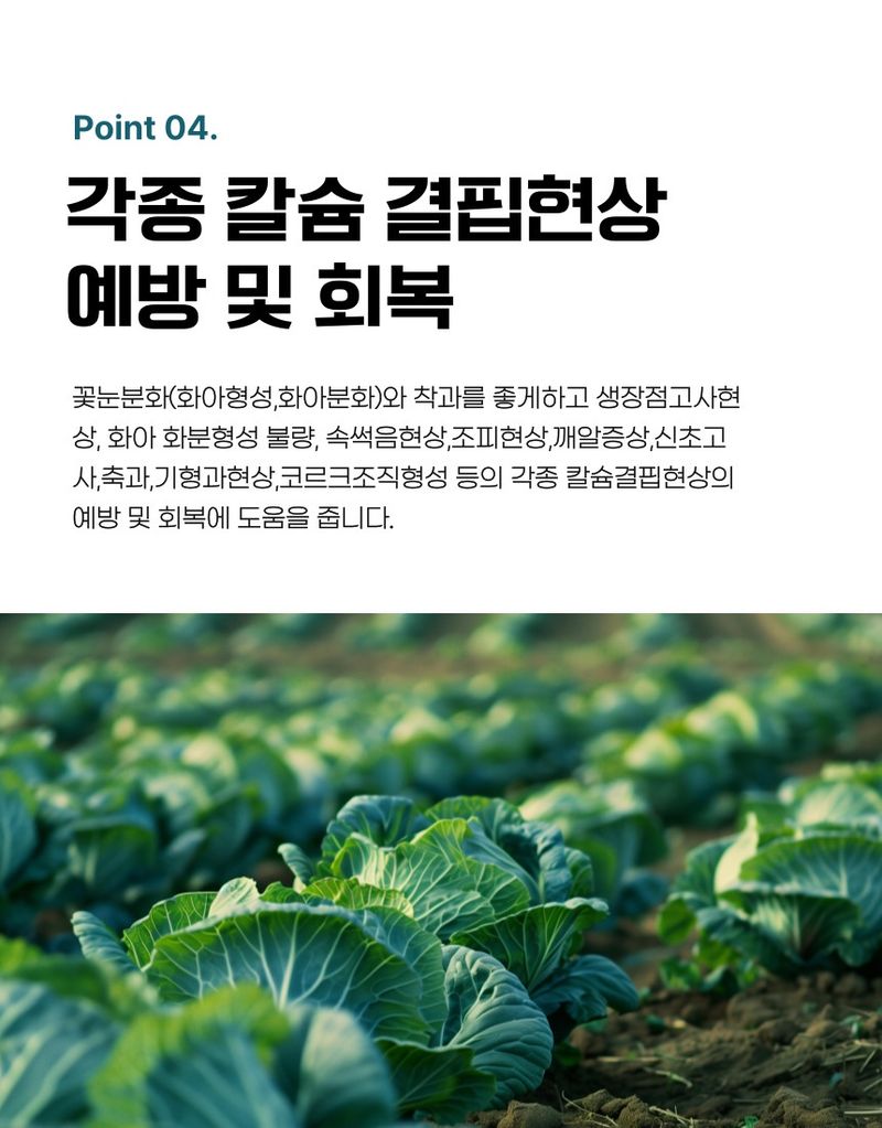 플랜큐님의 장터 판매 상품 [더쎈 칼슘마그 10kg 고품질 석회 고토 유황 붕소 비료 토양개량제] 첨부 사진