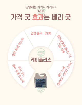 농업마켓365님의 작성글 사진