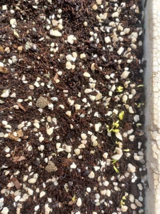 무료지식나눔 팜닥터님의 자유주제 · 자유게시판 작성글 사진