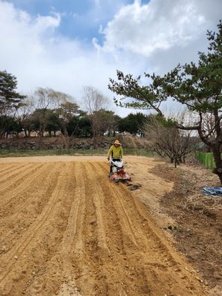 박인화님의 자유주제 · 자유게시판 작성글 사진