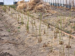 이창신님의 자유주제 · 자유게시판 작성글 사진