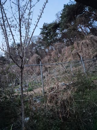 봉림동 태진농장님의 자유주제 · 자유게시판 작성글 사진