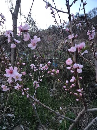 봉림동 태진농장님의 자유주제 · 자유게시판 작성글 사진
